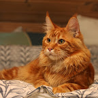 gilbert_0917.jpg