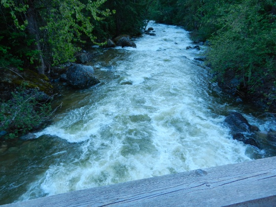 DSCN9157.jpg DSCN9157