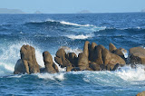 DSC_0529.JPG