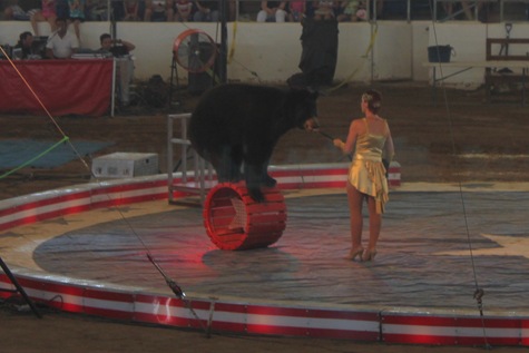 [IMG_5284%255B3%255D.jpg]