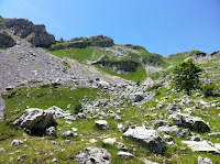 IMG_1423.JPG Photo