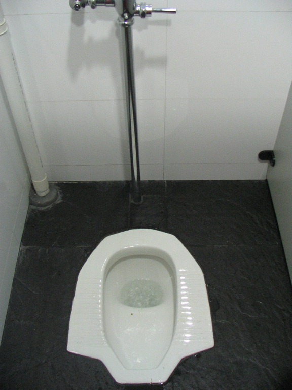 [squat-toilet-new%255B5%255D.jpg]