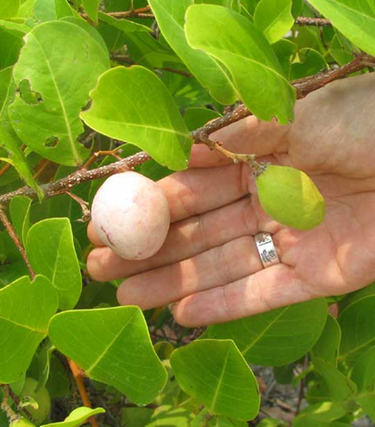 [image%255B11%255D.png]