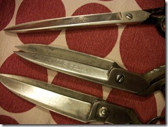 scissors (1)