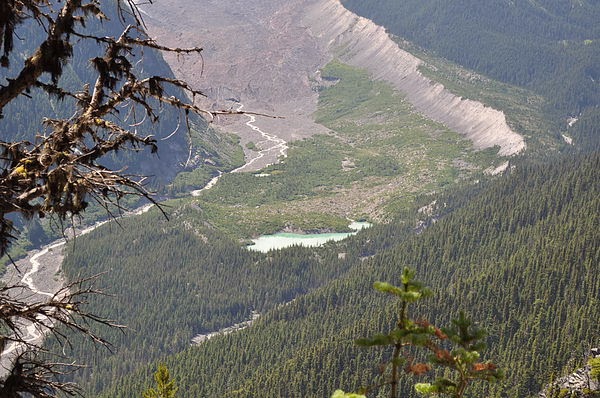 DSC_1988.JPG DSC_1988.JPG