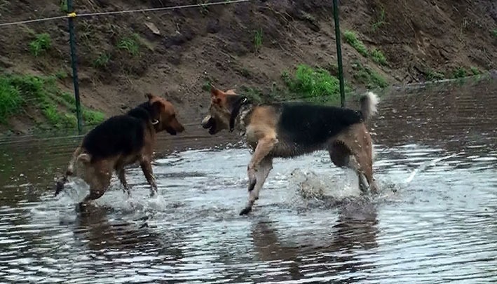 [20130521140528-%25281%2529%255B2%255D.jpg]