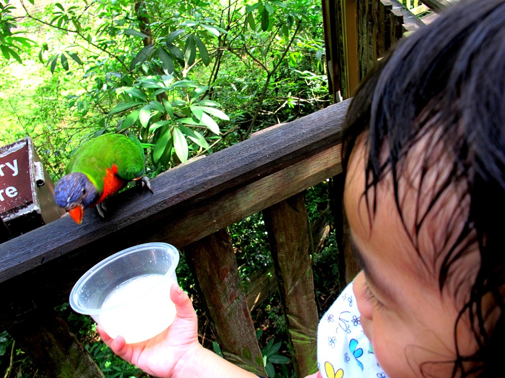 [IMG_9836%255B4%255D.jpg]