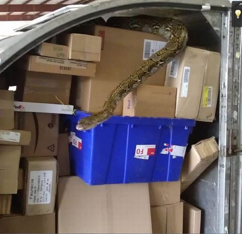 [viral-picdump-pics-36%255B2%255D.jpg]