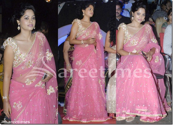 Bindu_Madhavi_Pink_Net_Saree