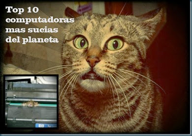 Gato post face listo Gato post face listo