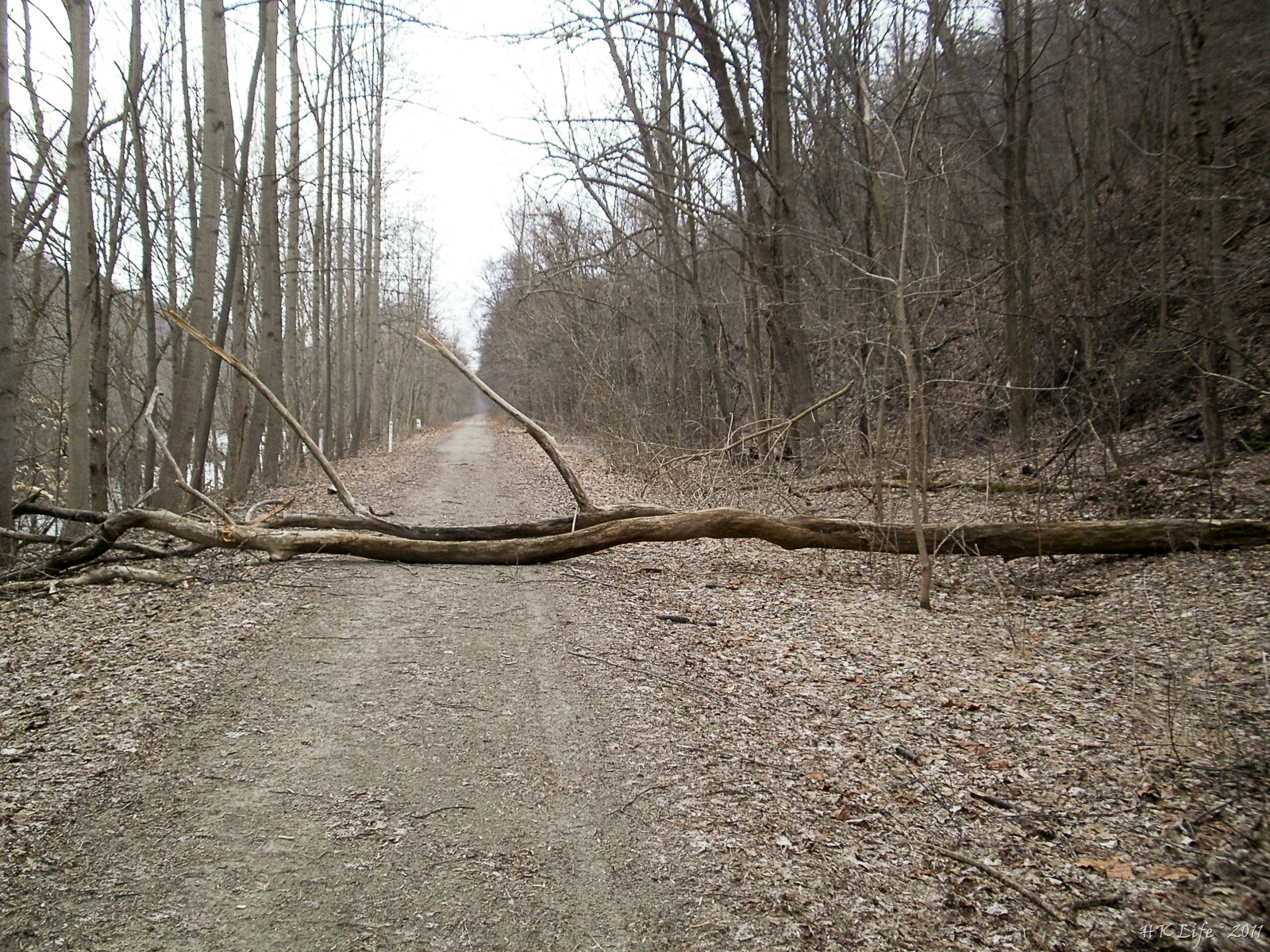 [P3150470%255B3%255D.jpg]