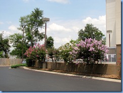 8991 State Road 155 North, Tennessee - Nashville -  Best Western Suites Opryland