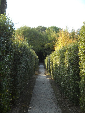 [Bosco%2520Ragnaia%2520008%255B3%255D.jpg]