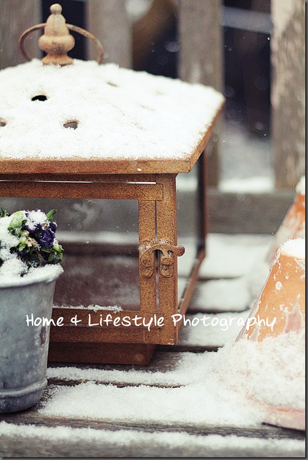 Home & Lifestyle Home & Lifestyle