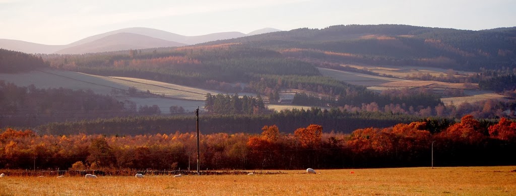 [25%2520Nov%25202%255B3%255D.jpg]