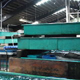 Lobster tanks at the Aquidneck Lobster Co