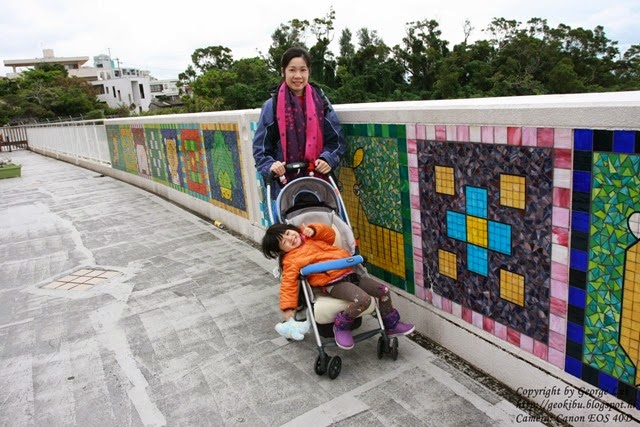 IMG_3479 IMG_3479