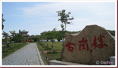 IMG_3786 IMG_3786