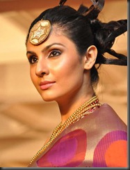 actress_divya_parameshwaran_in_saree_pic