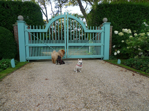 Relax, Franny and Sharkey.  Martha will be here soon.  She promised to take us for a walk!