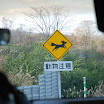 hokkaido_234.jpg