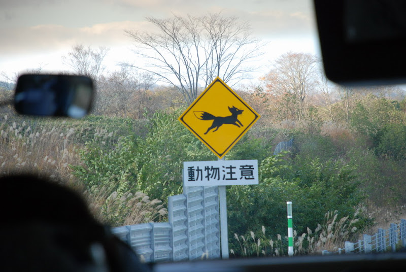 hokkaido_234.jpg