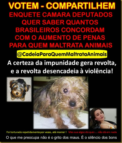 cadeiamaustratosanimais cadeiamaustratosanimais