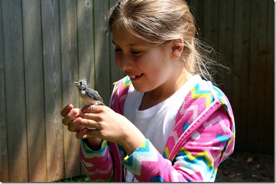 img_7444 img_7444