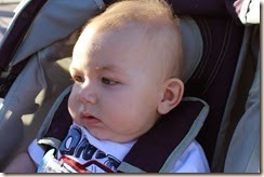 IMG_6446 IMG_6446