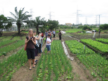 'Visiting an Urban Farm outside of Accra.' Photo by Sandra Vu