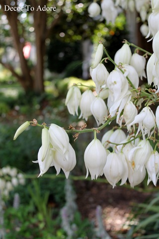 [Summer%2520Vacation%25202013%2520065%255B7%255D.jpg]