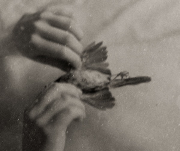 rebecca cairns rebecca cairns