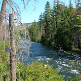 Looking at the River