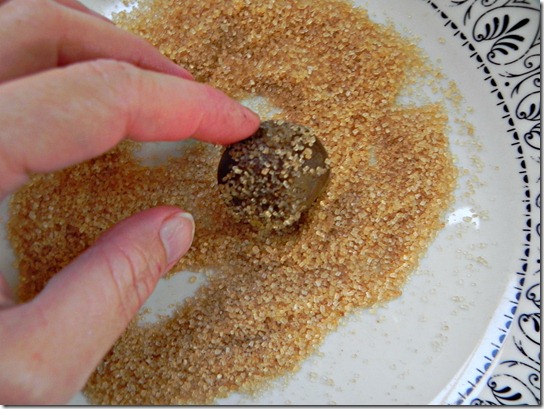 ginger-cookies-2 ginger-cookies-2