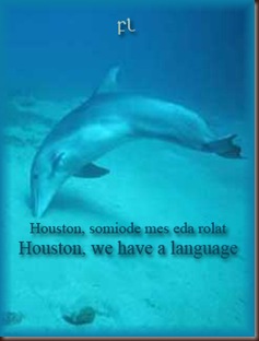 Houston we have a language Cover