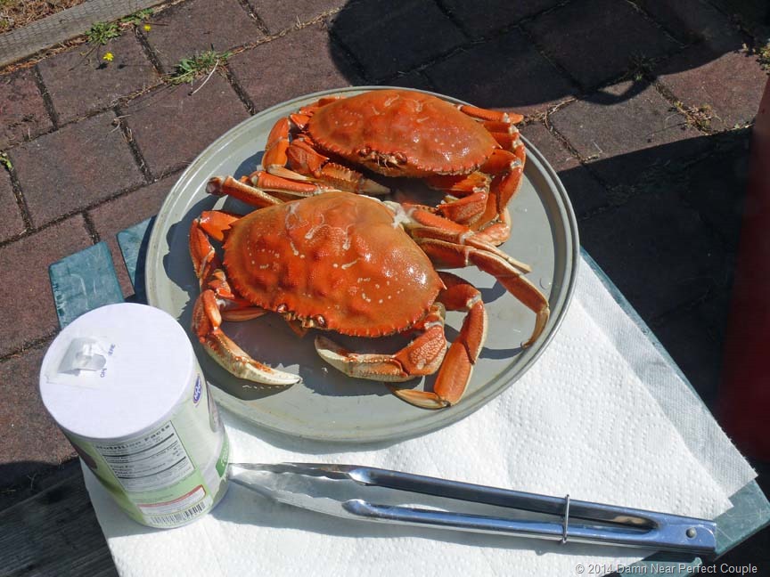 [Cooked-Crab1%255B3%255D.jpg]