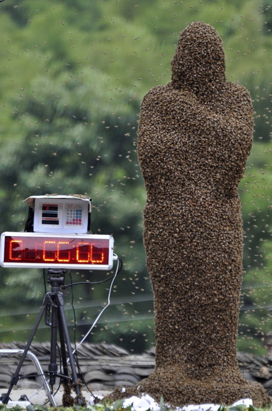 bee-attracting-comp2 bee-attracting-comp2