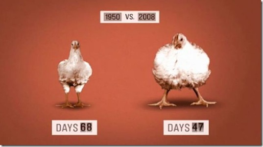 viral-picdump-pics-10