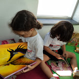 DSC08448.JPG
