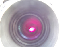 DSCF2217