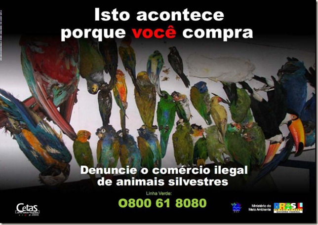 maus_tratos31 maus_tratos31