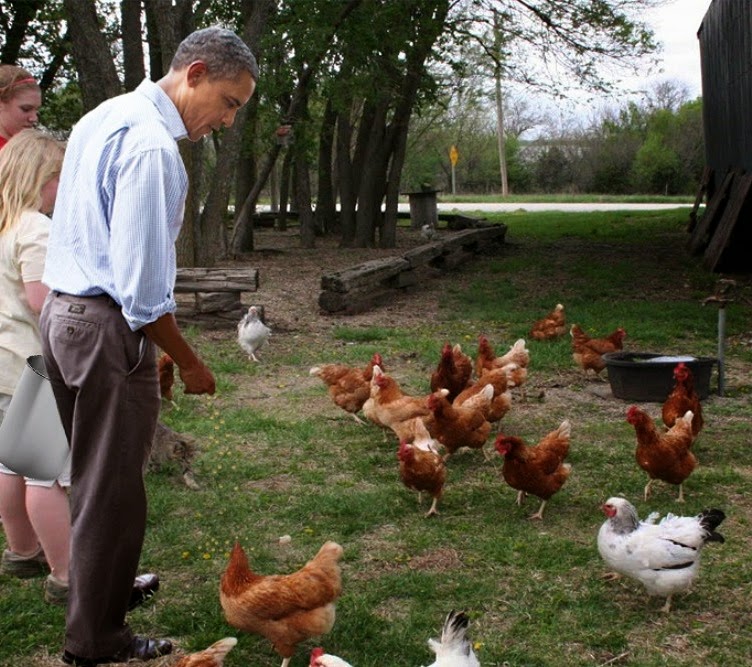 [Barack-Obama-Feeding-Chickens-91273%255B4%255D.jpg]