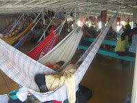 IMG_0774.jpg