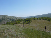P1030930.JPG