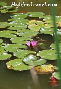 IMG_9820 IMG_9820