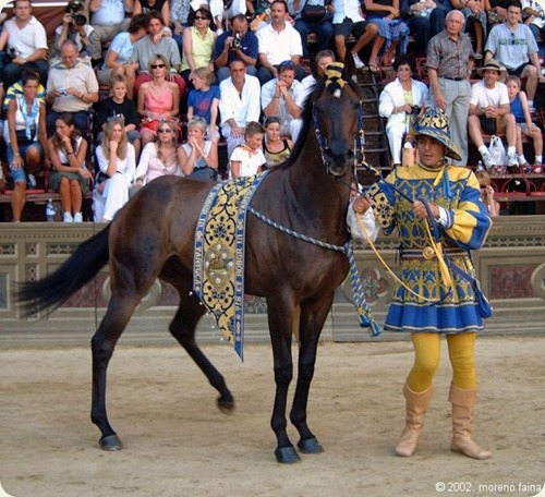 palio_di_siena2