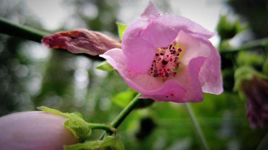 [IMG_4755%255B4%255D.jpg]