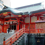 shinjuku shrine in Tokyo, Tokyo, Japan
