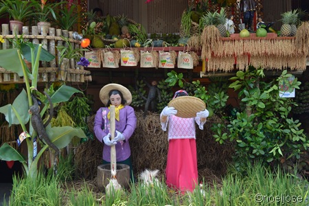 DSC_0485 DSC_0485