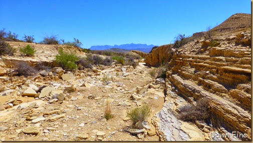 Terlingua rockhounding_081